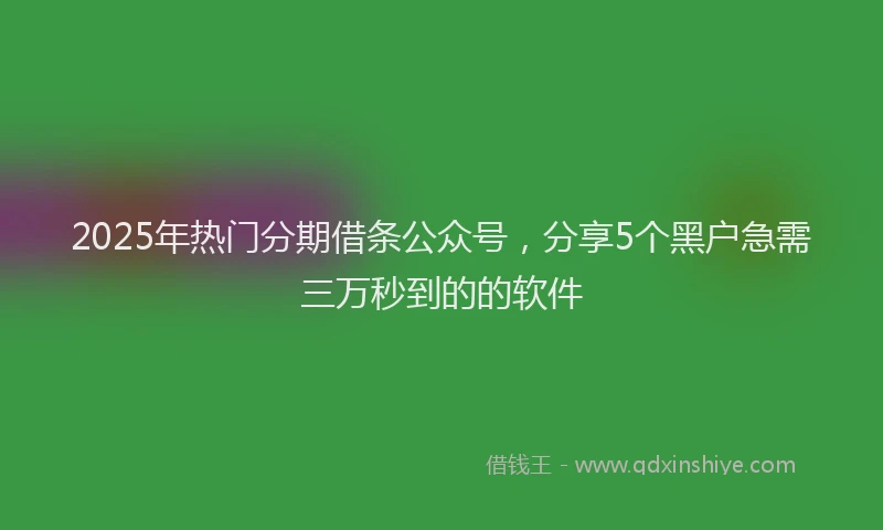 2025年热门分期借条公众号，分享5个黑户急需三万秒到的的软件