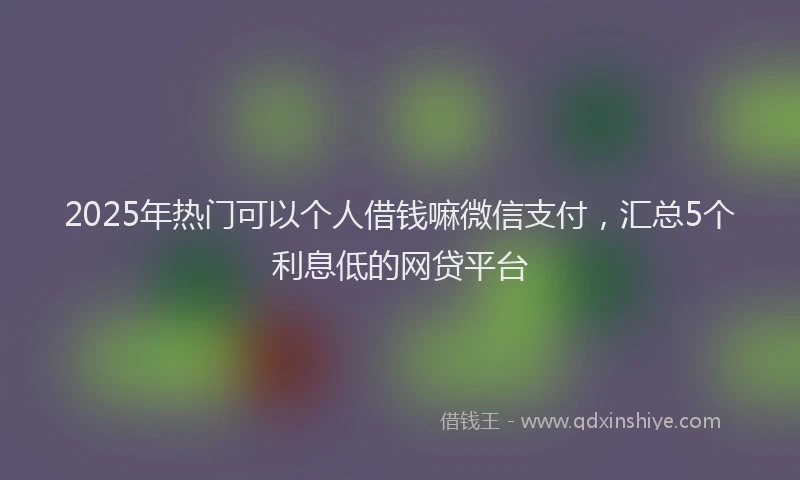 2025年热门可以个人借钱嘛微信支付，汇总5个利息低的网贷平台