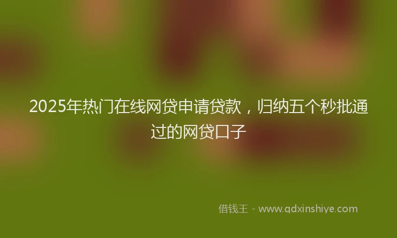 2025年热门在线网贷申请贷款，归纳五个秒批通过的网贷口子