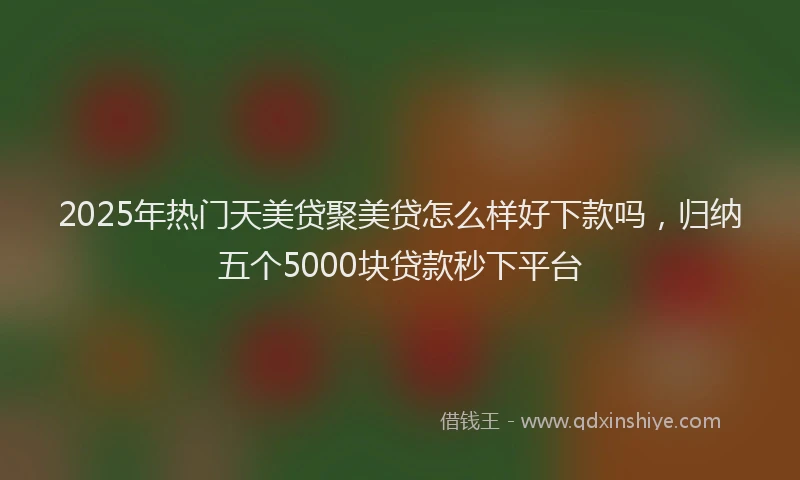 2025年热门天美贷聚美贷怎么样好下款吗，归纳五个5000块贷款秒下平台