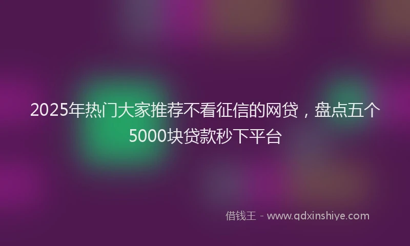 2025年热门大家推荐不看征信的网贷，盘点五个5000块贷款秒下平台