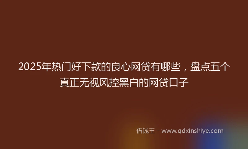 2025年热门好下款的良心网贷有哪些，盘点五个真正无视风控黑白的网贷口子