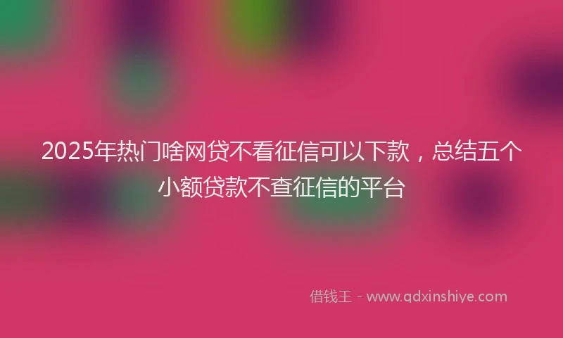 2025年热门啥网贷不看征信可以下款，总结五个小额贷款不查征信的平台