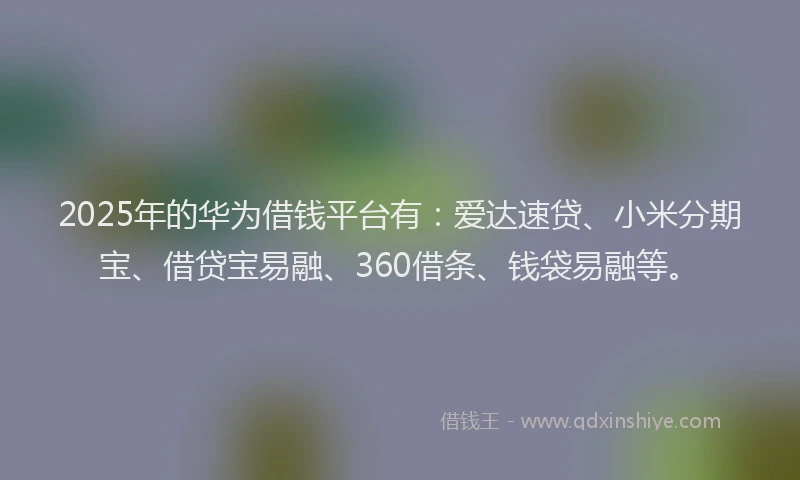 2025年的华为借钱平台有：爱达速贷、小米分期宝、借贷宝易融、360借条、钱袋易融等。