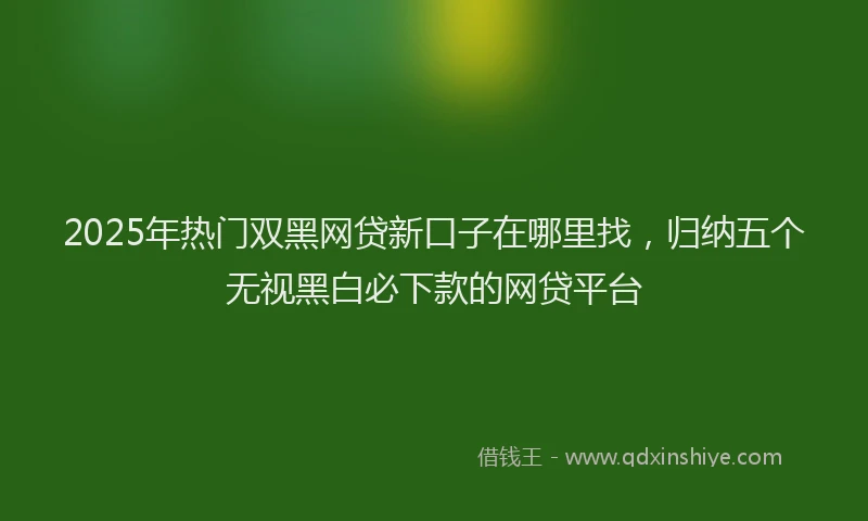 2025年热门双黑网贷新口子在哪里找，归纳五个无视黑白必下款的网贷平台