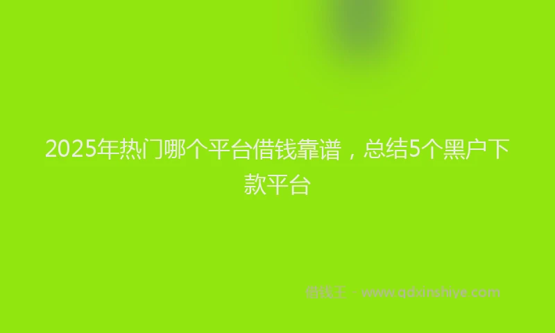 2025年热门哪个平台借钱靠谱，总结5个黑户下款平台