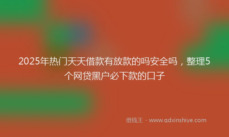 2025年热门天天借款有放款的吗安全吗，整理5个网贷黑户必下款的口子