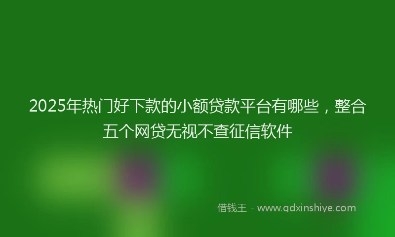 2025年热门好下款的小额贷款平台有哪些，整合五个网贷无视不查征信软件