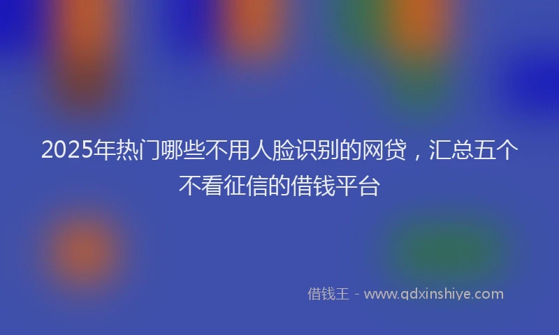 2025年热门哪些不用人脸识别的网贷，汇总五个不看征信的借钱平台