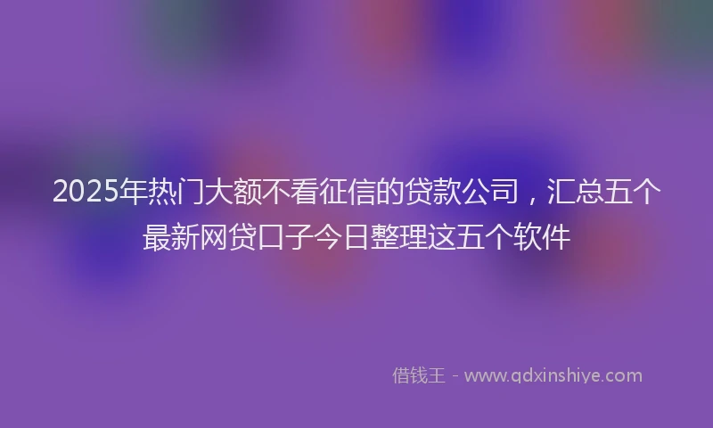 2025年热门大额不看征信的贷款公司，汇总五个最新网贷口子今日整理这五个软件