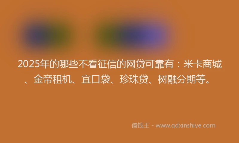 2025年的哪些不看征信的网贷可靠有：米卡商城、金帝租机、宜口袋、珍珠贷、树融分期等。