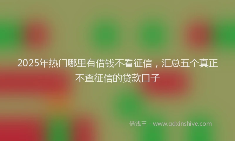 2025年热门哪里有借钱不看征信，汇总五个真正不查征信的贷款口子