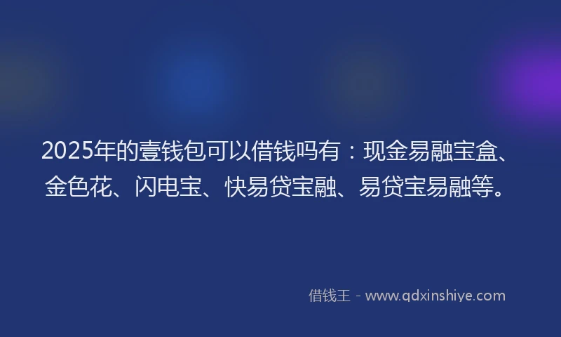 2025年的壹钱包可以借钱吗有：现金易融宝盒、金色花、闪电宝、快易贷宝融、易贷宝易融等。