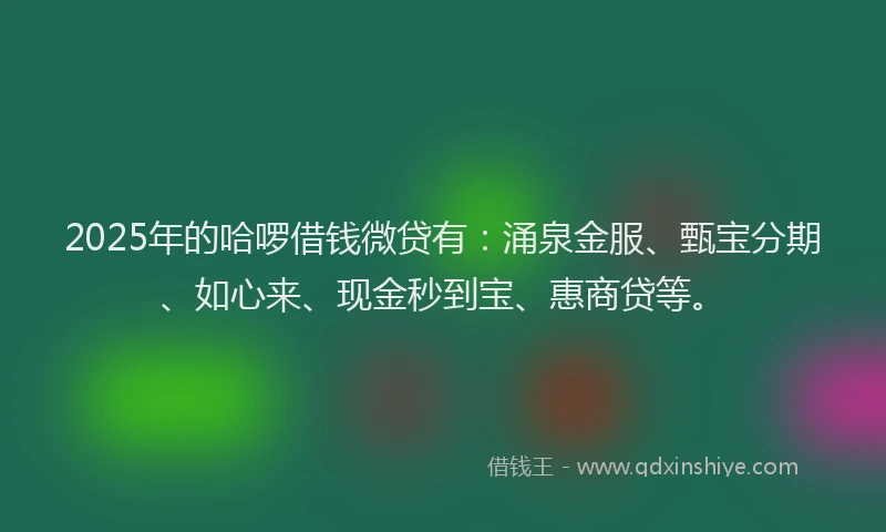 2025年的哈啰借钱微贷有：涌泉金服、甄宝分期、如心来、现金秒到宝、惠商贷等。