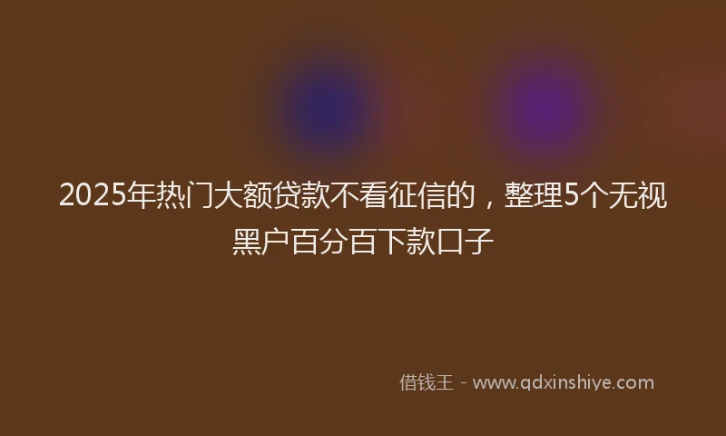 2025年热门大额贷款不看征信的，整理5个无视黑户百分百下款口子