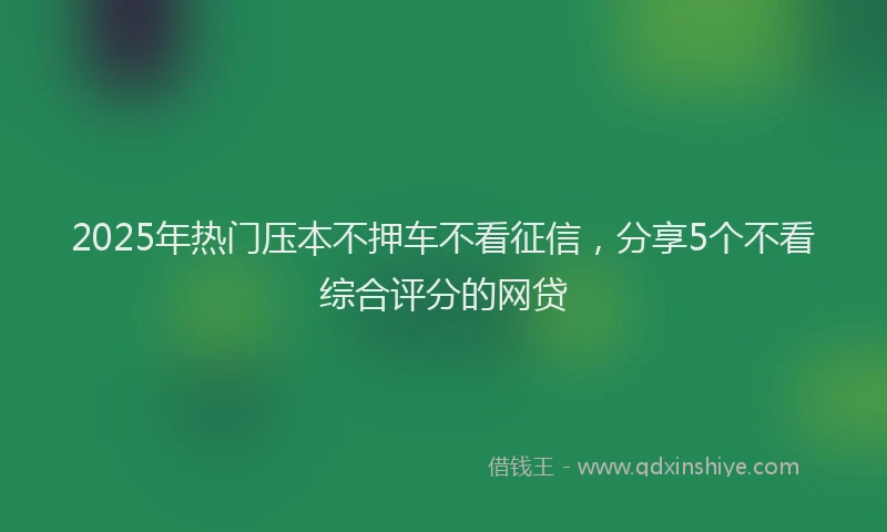 2025年热门压本不押车不看征信，分享5个不看综合评分的网贷