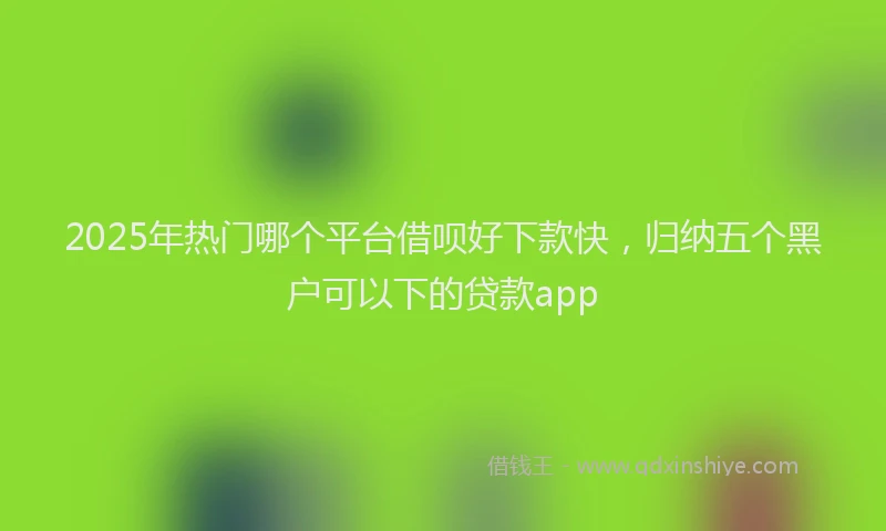 2025年热门哪个平台借呗好下款快，归纳五个黑户可以下的贷款app