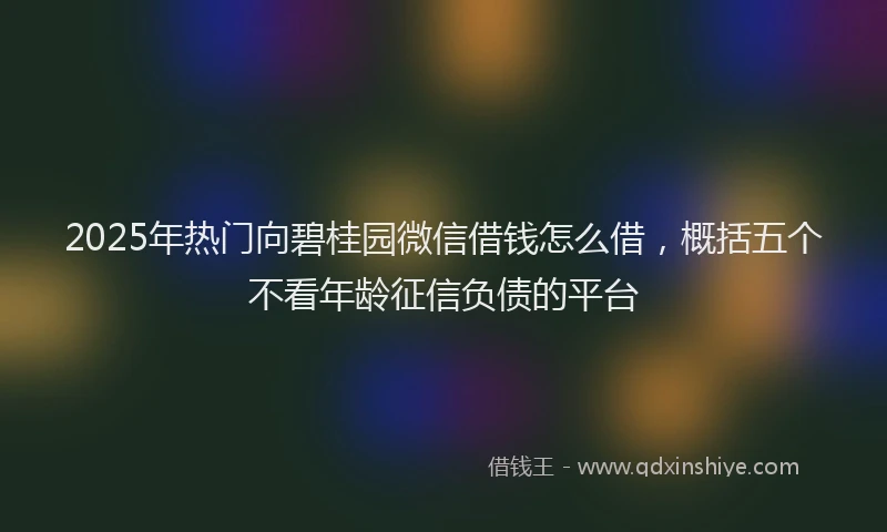 2025年热门向碧桂园微信借钱怎么借，概括五个不看年龄征信负债的平台