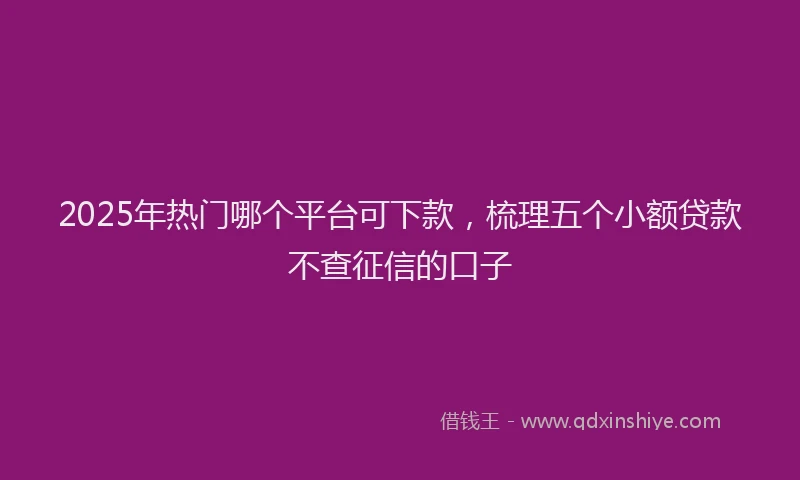 2025年热门哪个平台可下款，梳理五个小额贷款不查征信的口子