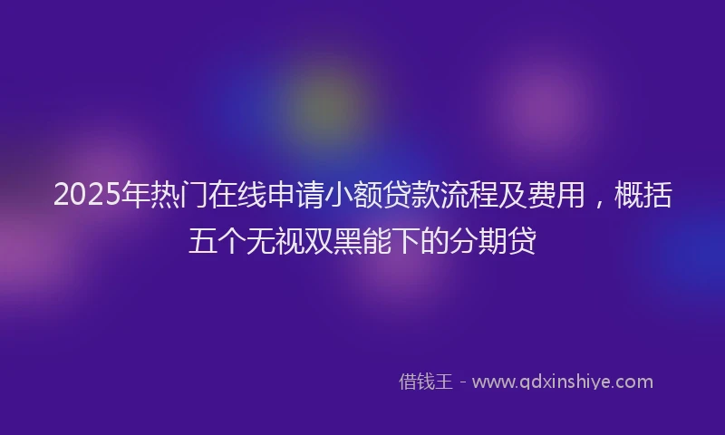 2025年热门在线申请小额贷款流程及费用，概括五个无视双黑能下的分期贷