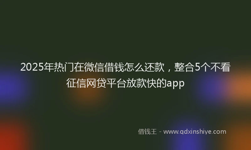 2025年热门在微信借钱怎么还款，整合5个不看征信网贷平台放款快的app