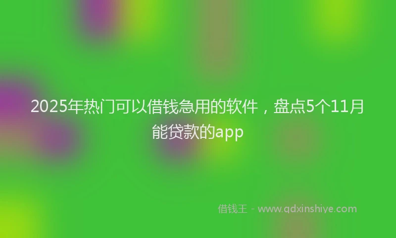 2025年热门可以借钱急用的软件，盘点5个11月能贷款的app