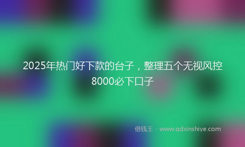 2025年热门好下款的台子，整理五个无视风控8000必下口子