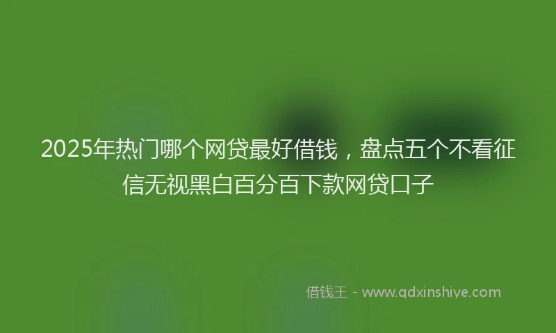 2025年热门哪个网贷最好借钱，盘点五个不看征信无视黑白百分百下款网贷口子