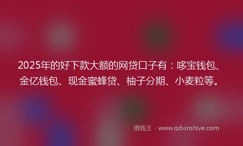 2025年的好下款大额的网贷口子有：哆宝钱包、金亿钱包、现金蜜蜂贷、柚子分期、小麦粒等。