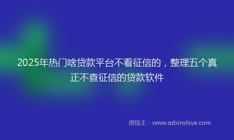 2025年热门啥贷款平台不看征信的，整理五个真正不查征信的贷款软件