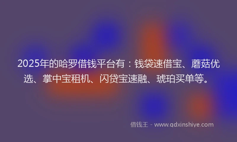2025年的哈罗借钱平台有：钱袋速借宝、蘑菇优选、掌中宝租机、闪贷宝速融、琥珀买单等。