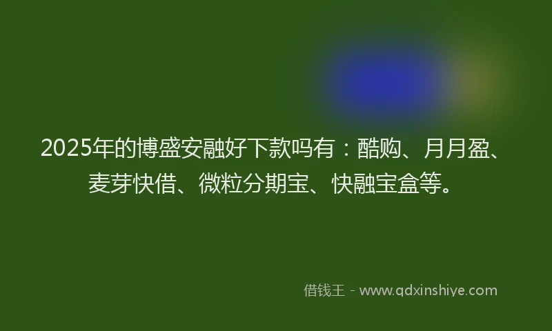 2025年的博盛安融好下款吗有：酷购、月月盈、麦芽快借、微粒分期宝、快融宝盒等。