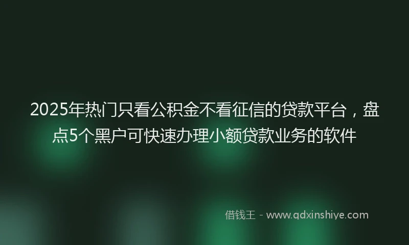 2025年热门只看公积金不看征信的贷款平台，盘点5个黑户可快速办理小额贷款业务的软件