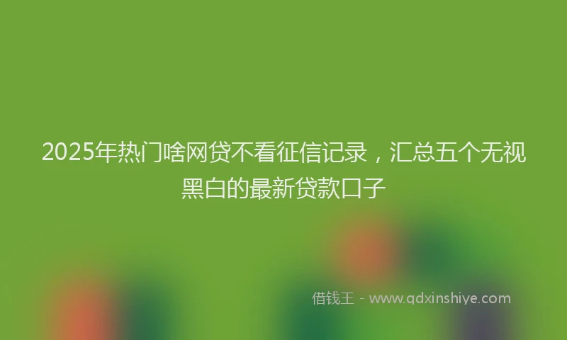 2025年热门啥网贷不看征信记录，汇总五个无视黑白的最新贷款口子