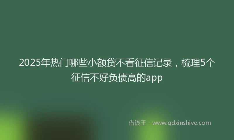 2025年热门哪些小额贷不看征信记录，梳理5个征信不好负债高的app