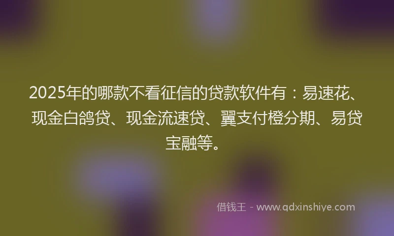 2025年的哪款不看征信的贷款软件有：易速花、现金白鸽贷、现金流速贷、翼支付橙分期、易贷宝融等。