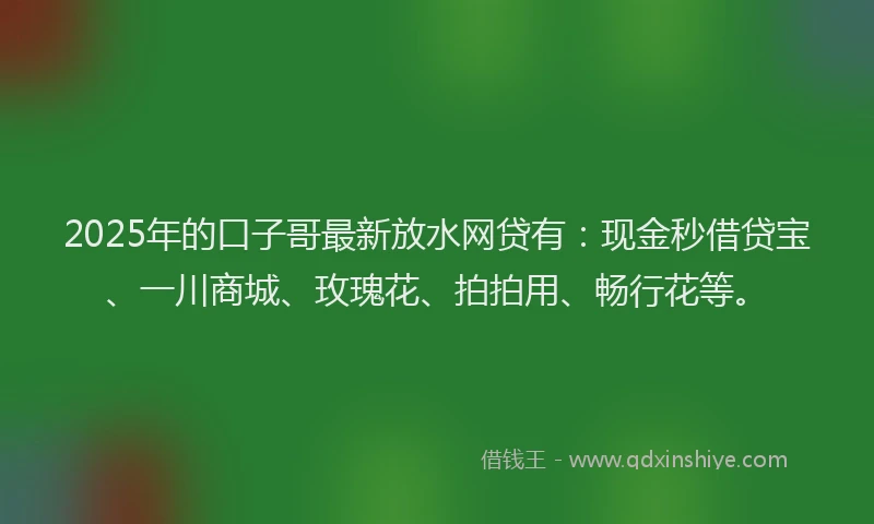 2025年的口子哥最新放水网贷有：现金秒借贷宝、一川商城、玫瑰花、拍拍用、畅行花等。