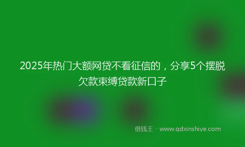 2025年热门大额网贷不看征信的，分享5个摆脱欠款束缚贷款新口子
