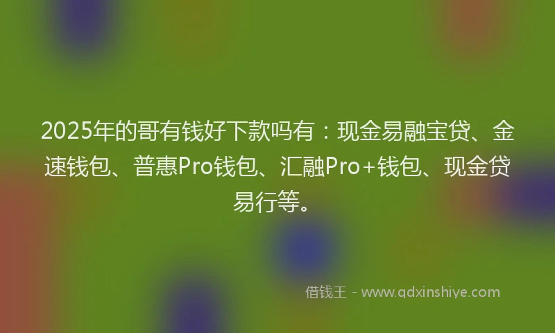 2025年的哥有钱好下款吗有：现金易融宝贷、金速钱包、普惠Pro钱包、汇融Pro+钱包、现金贷易行等。