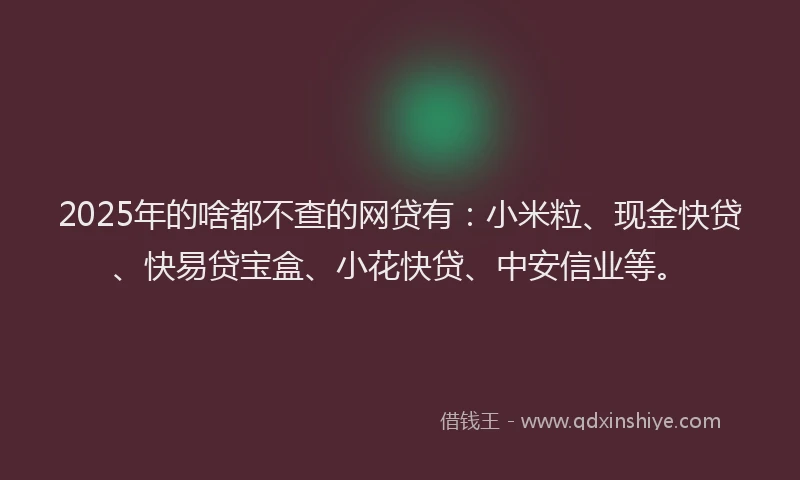 2025年的啥都不查的网贷有：小米粒、现金快贷、快易贷宝盒、小花快贷、中安信业等。