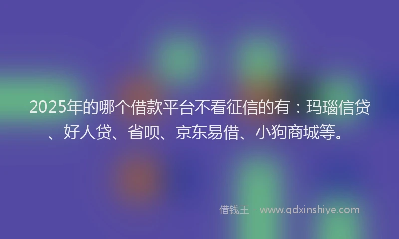 2025年的哪个借款平台不看征信的有：玛瑙信贷、好人贷、省呗、京东易借、小狗商城等。