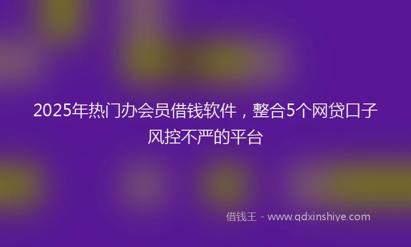 2025年热门办会员借钱软件，整合5个网贷口子风控不严的平台
