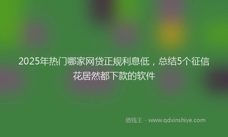 2025年热门哪家网贷正规利息低，总结5个征信花居然都下款的软件