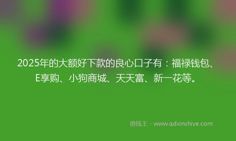 2025年的大额好下款的良心口子有：福禄钱包、E享购、小狗商城、天天富、新一花等。