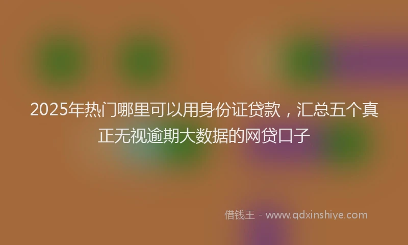 2025年热门哪里可以用身份证贷款，汇总五个真正无视逾期大数据的网贷口子