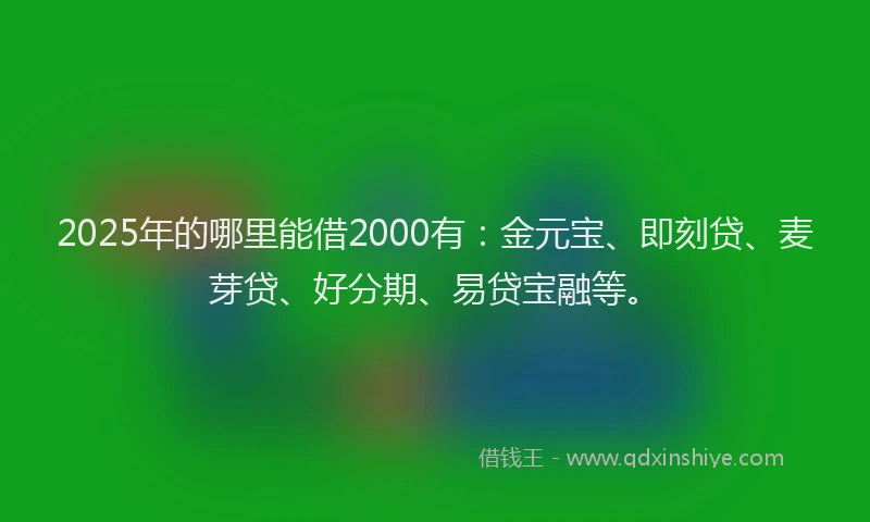 2025年的哪里能借2000有：金元宝、即刻贷、麦芽贷、好分期、易贷宝融等。