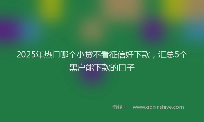 2025年热门哪个小贷不看征信好下款，汇总5个黑户能下款的口子