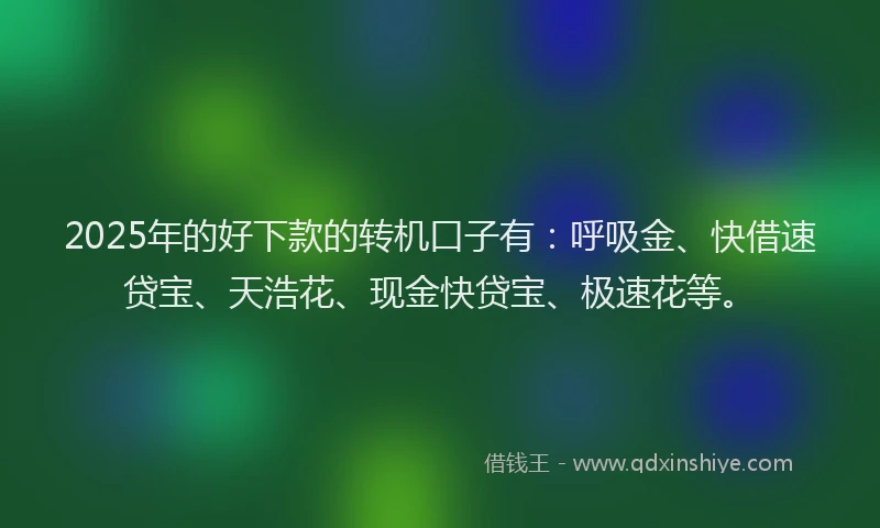 2025年的好下款的转机口子有：呼吸金、快借速贷宝、天浩花、现金快贷宝、极速花等。