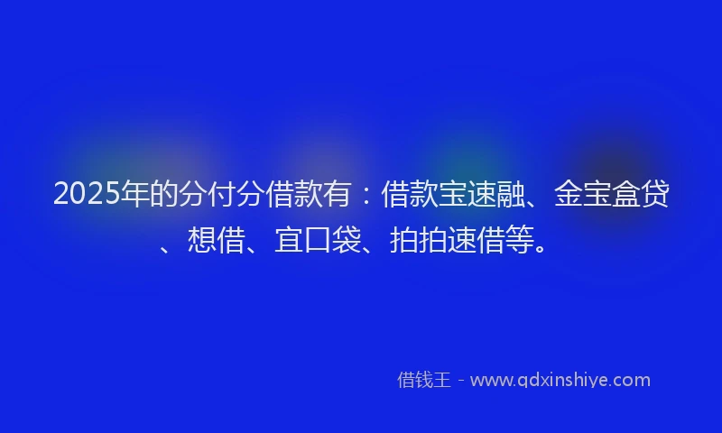2025年的分付分借款有：借款宝速融、金宝盒贷、想借、宜口袋、拍拍速借等。