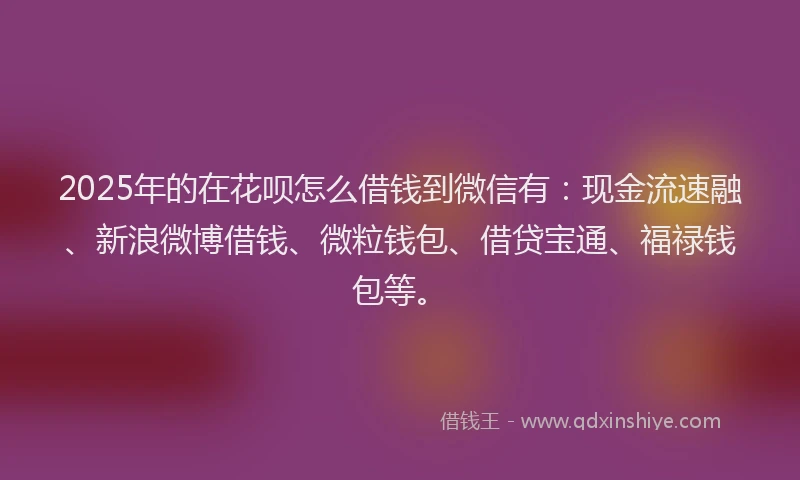 2025年的在花呗怎么借钱到微信有：现金流速融、新浪微博借钱、微粒钱包、借贷宝通、福禄钱包等。
